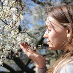 IMG_2050_sk