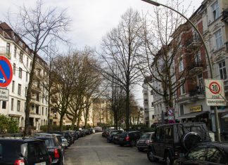 Straßenbäume in Not Straßenbäume am Eppendorfer Baum