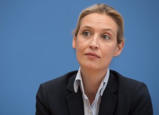 Bündnis gegen Rechts stellt sich gegen Alice Weidel – Aufruf zur Demo AfD-Politikerin Alice Weidel spricht im Hamburger Rathaus. Foto: Soeren Stache/DPA