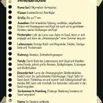 Ameisenlöwe