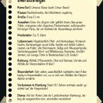 Bierschnegel(1)