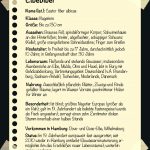 Elbebiber(1)