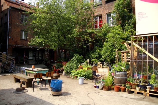 Urban Gardening im Gängeviertel. Foto: Lesley-Ann Jahn