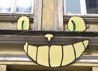 Foto-Bingo zwischen Street Art und Möwen Grinsekatze im Gängeviertel. Foto: Ines Ludewig