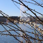 IMG_2041_sk[1]