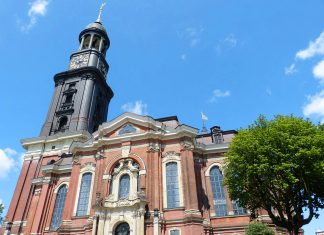 Mücken lösen Feuerwehreinsatz aus Michel Hamburg