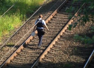 Züge zwischen Lübeck und Hamburg fahren wieder Brandanschlag Bahnanlage