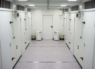 Erstaufnahme für G20-Krawallmacher Gefangenensammelstelle Neuland GeSa Harburg G20