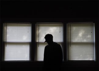 Jeder zweite Haushalt besteht nur aus einer Person Hamburger Haushalte