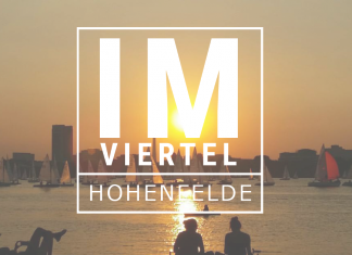 7 Dinge, die nur Menschen aus Hohenfelde kennen Blick von der Alsterwiese Schwanenwik. Foto: Jan Siemers, Grafik: Laura Lagershausen