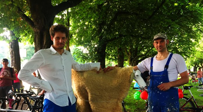 “Menschen sind Herdentiere” Colorful Mass, Humans of G20