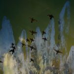 “Im Iran sind Friedhofsblumen gelb” Vögel, die in den Himmel aufsteigen