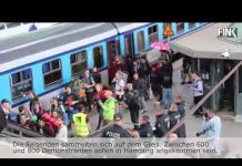 Das ist der Sonderzug aus Basel