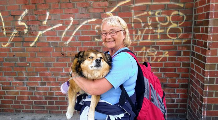 “Die Staatsgewalt will ihre Macht präsentieren” "Die Staatsgewalt will ihre Macht präsentieren"
