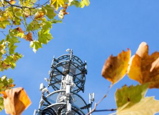 Neues Netz: 5G für den Hafen Ein Sendemast ragt in die Luft, drumherum bunt gefärbtes Laub