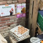 Unvperpackt einkaufen in Hamburg Eier