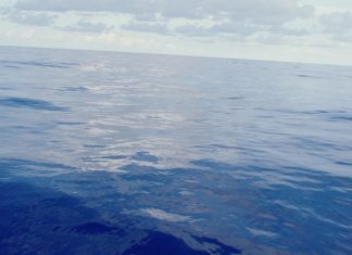 Das Meer in der Hauptrolle Das Meer in Drift