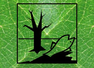 Die wichtigsten Fakten zum Thema Glyphosat Glyphosat tötet Pflanzen, die Nahrung für Insekten sind, die wiederum als Nahrung für Vögel dienen. Illustration: Lukas Schepers