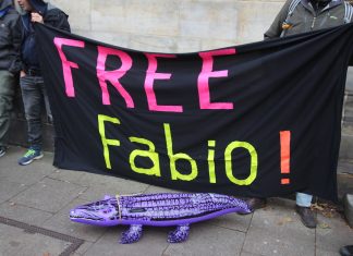 Fabio V. kommt gegen Kaution frei Demonstranten vor dem Amstgericht Hamburg-Altona forderten die Freilassung von Fabio V. Foto: Joachim Plingen