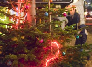 Welcher Weihnachtsmarkt passt zu dir? Hamburg Weihnachtsmarkt Weihnacht