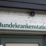 IMG_9535