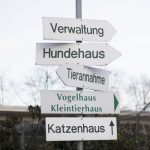 IMG_9551_1