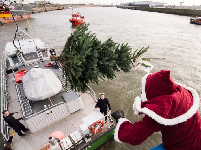 Weihnachtsmann-verteilt-Bäume-im-Hafen