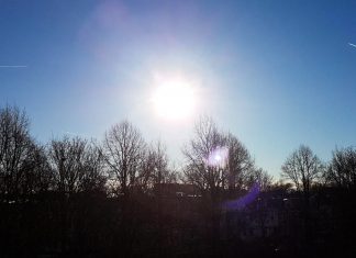 5 Tipps für einen sonnigen Sonntagsspaziergang