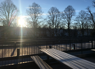 Schön und selten – Sonne im Hamburger Winter Sonniger Wintertag an der HAW. Foto: Laura Lagershausen