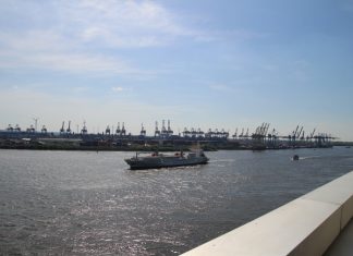 Verzögert Libelle die Elbvertiefung? Blick vom Dockland