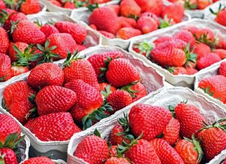 Quiz: Bist du Erdbeer-Profi? Die Erdbeersaison hat begonnen. Im Quiz findest du heraus, wie gut du dich mit Erdbeeren auskennst. Foto: Pixabay