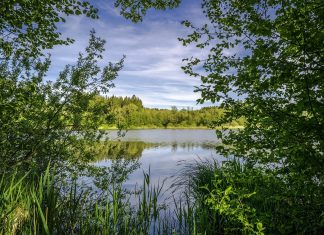 Hamburger Badeseen: Bedenkenlos abkühlen Wasserqualität Gewässer