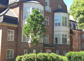 Bienentumult an der Finkenau Bienen auf dem Mediencampus der HAW