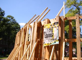 Schüler gründen Staat im Karoviertel Karolonia