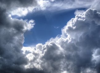 Was hat es mit dem Siebenschläfer auf sich? Siebenschläfer Quiz