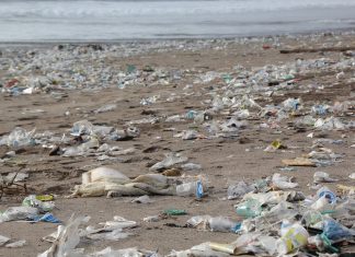 Plastikmüll: Wir müssen uns endlich zusammenreißen