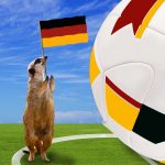 7 alternative Freizeittipps für Deutschland-Spiele WM-Alternativen für Erdmännchen.