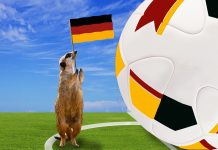 7 alternative Freizeittipps für Deutschland-Spiele WM-Alternativen für Erdmännchen.