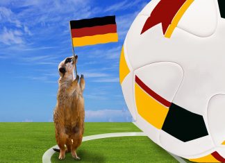 7 alternative Freizeittipps für Deutschland-Spiele WM-Alternativen für Erdmännchen.