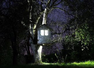 “Das Licht löscht das Innere der Objekte aus” Foto Triennale leuchtendes Baumhaus