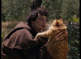 Zwischen Glaube und Freiheit A violent desire for joy: Gabriel mit Katze