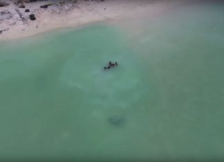 Zwischen Urlaubsparadies und Naturkatastrophe Anote's Ark – Der Meeresspiegel steigt, die Bewohner Kiribatis fürchten um ihr zuhause. Screenshot: Anote's Ark