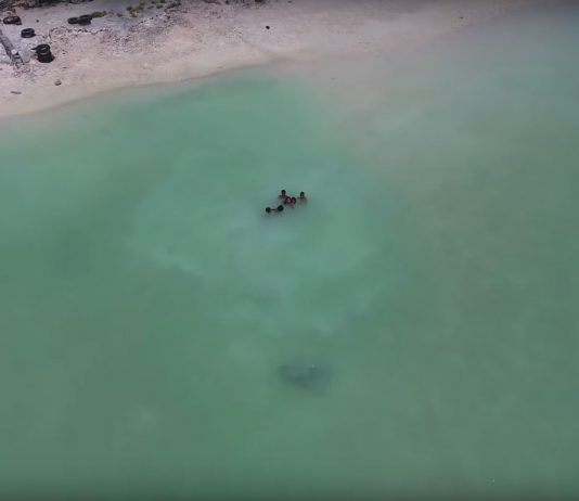 Zwischen Urlaubsparadies und Naturkatastrophe Anote's Ark – Der Meeresspiegel steigt, die Bewohner Kiribatis fürchten um ihr zuhause. Screenshot: Anote's Ark