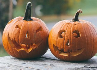 Halloween: Was weisst du über das Gruselfest? Halloween-Quiz: Kürbisse mit gruseligem Gesicht