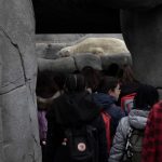 Schüler vor dem Eisbärengehege