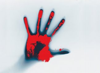 Quiz: Was weisst du über Sebastian Fitzek? Das Krimi-Quiz