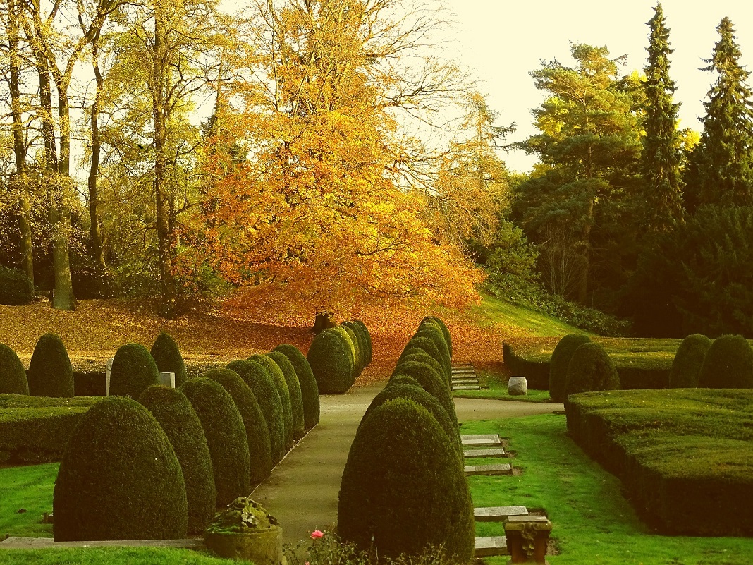 Hier, auf dem Friedhof Ohlsdorf könnten bald Gräber für Tiere und Menschen entstehen. Foto: Pixabay
