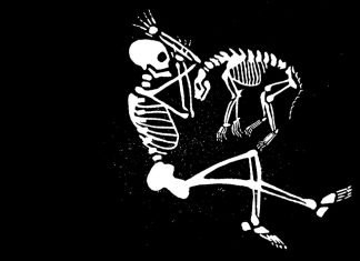 Tier-Mensch-Gräber in Ohlsdorf Auf dem Friedhof Ohlsdorf könnten Tier-Mensch-Gräber bald Realität werden. Grafik: Melina Deschke.