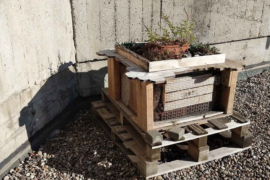 Ein Insektenhotel in Form des Bunkers.