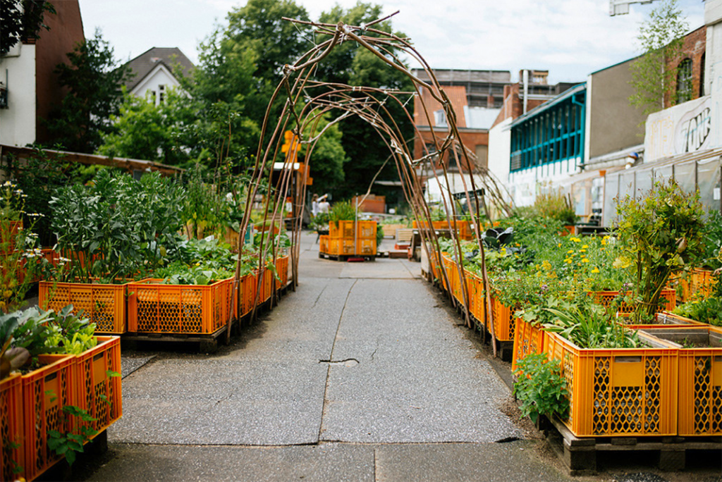 Urban Gardening: \